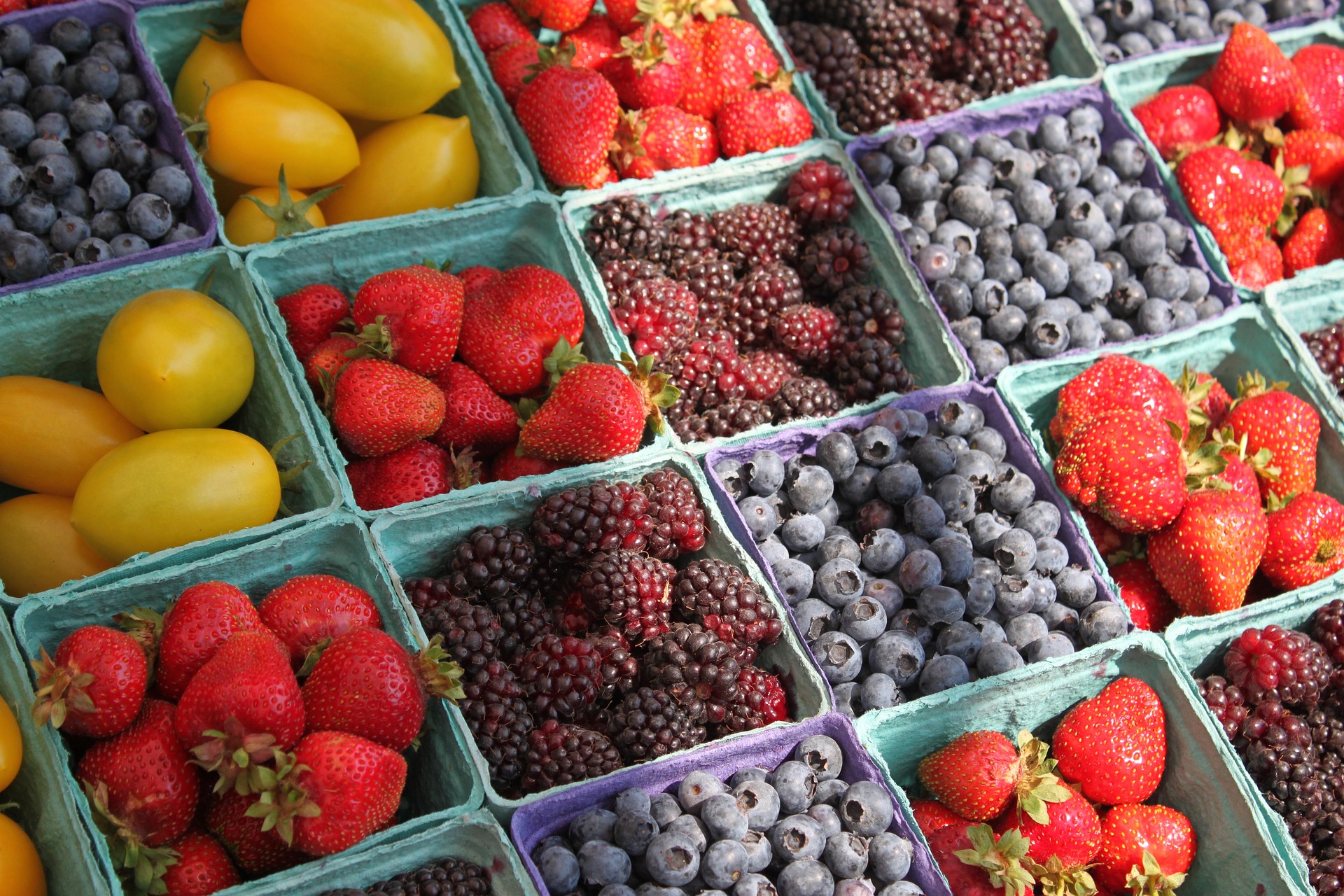 Best Farmers Market in Edmonton