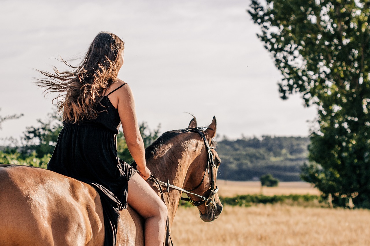 the best horseback riding facilities in Edmonton